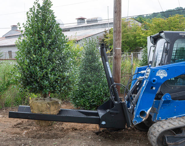 Blue Diamond Fork — Hydraulic — Nursery — mounted on a loader carrying a nursery tree