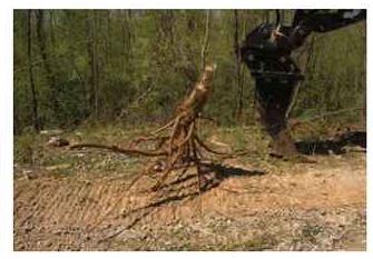 Blue Diamond Tree Grubber — excavator-mounted attachment lifting a root mass